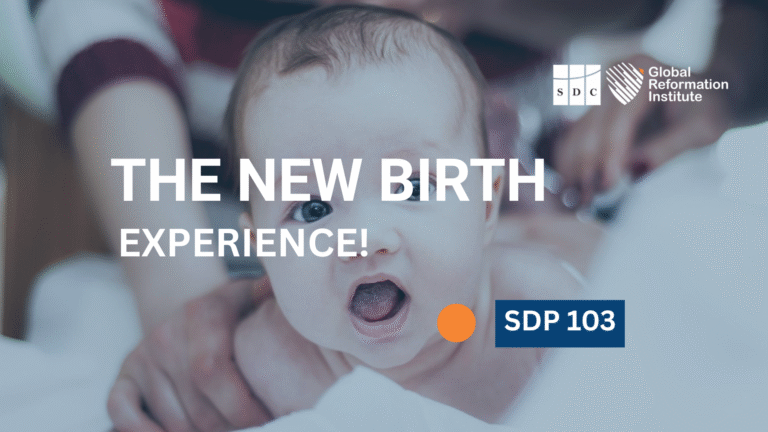 The New Birth Experience